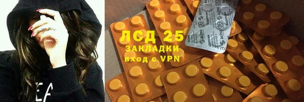 стафф Алексин