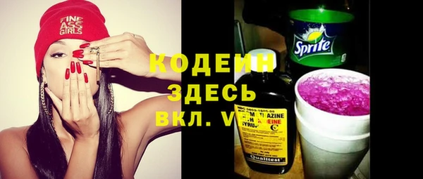 дмт Гусев
