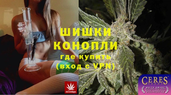 стафф Алексин