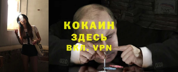 spice Гусь-Хрустальный