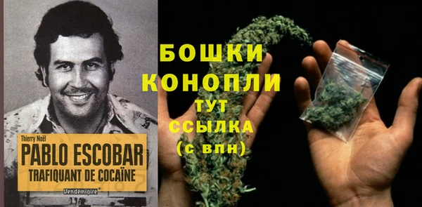 гидра Алексеевка