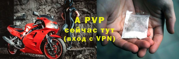 гидра Алексеевка